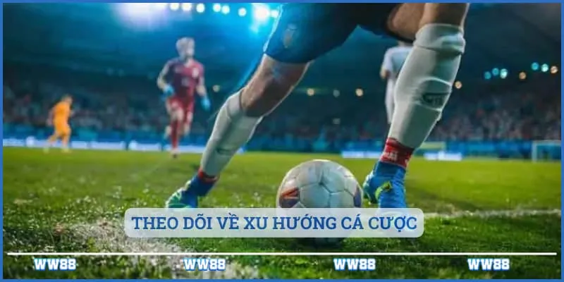 Theo dõi về xu hướng cá cược